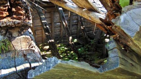 Conmee Pioneer Collapse - Conmee-Pioneer-Collapse13.jpg