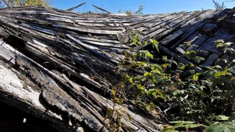 Conmee Pioneer Collapse - Conmee-Pioneer-Collapse1.jpg