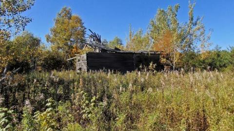 Conmee Pioneer Collapse - Conmee-Pioneer-Collapse3.jpg