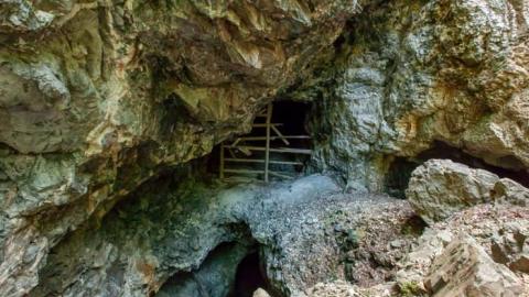 Flushed Away - Gambling-on-the-green9.jpg