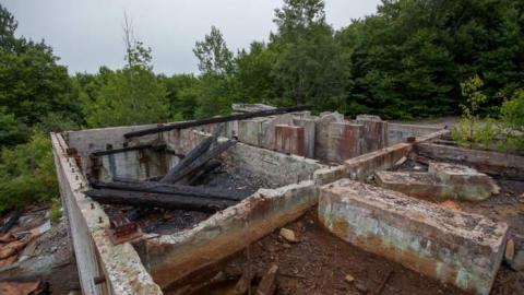 Flushed Away - Gambling-on-the-green10.jpg