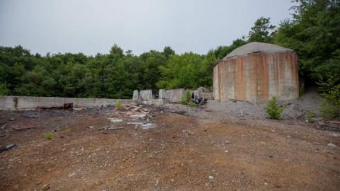 Flushed Away - Gambling-on-the-green2.jpg