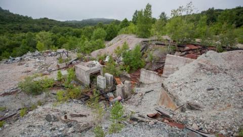 Flushed Away - Gambling-on-the-green12.jpg