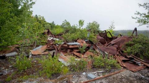 Flushed Away - Gambling-on-the-green13.jpg