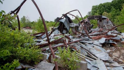 Flushed Away - Gambling-on-the-green5.jpg