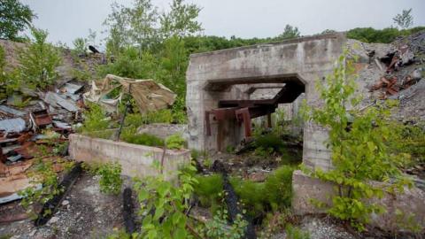 Flushed Away - Gambling-on-the-green14.jpg