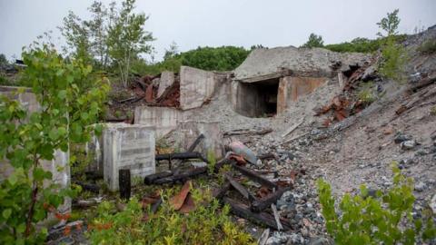 Flushed Away - Gambling-on-the-green15.jpg