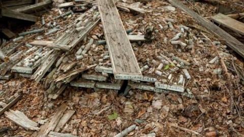 Flushed Away - Gambling-on-the-green7.jpg