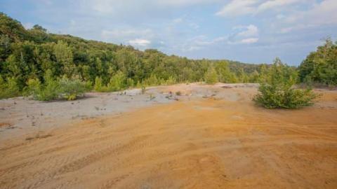 Flushed Away - Gambling-on-the-green8.jpg