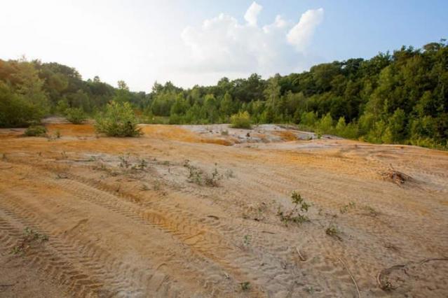 Gambling on the green photo 2