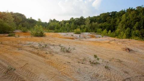 Flushed Away - Gambling-on-the-green17.jpg