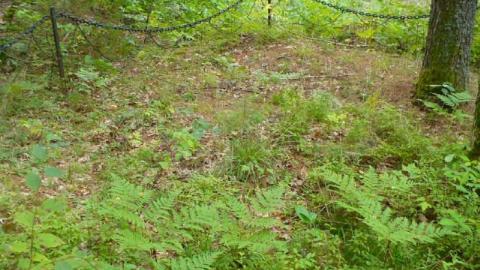 Morrison Hidden Cemetery photo 5