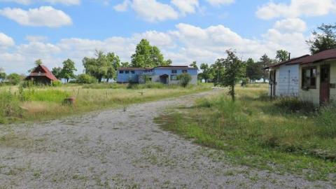 Summer 2014*gruesome warning** - FC2.jpg