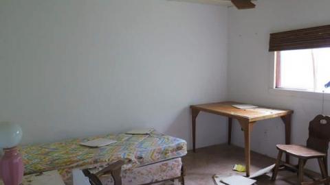 Summer 2014*gruesome warning** - FC11.jpg