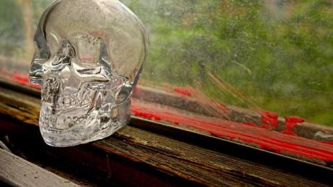 Summer 2014*gruesome warning** - FC12.jpg