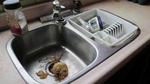 Summer 2014*gruesome warning** - FC14.jpg