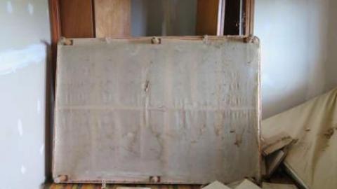 Summer 2014*gruesome warning** - FC18.jpg