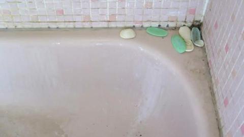 Summer 2014*gruesome warning** - FC19.jpg