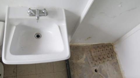 Summer 2014*gruesome warning** - FC21.jpg