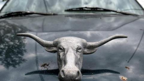 Summer 2014*gruesome warning** - FC23.jpg