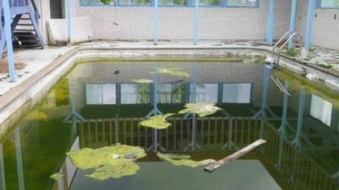 Summer 2014*gruesome warning** - FC33.jpg