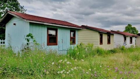 Summer 2014*gruesome warning** - FC37.jpg