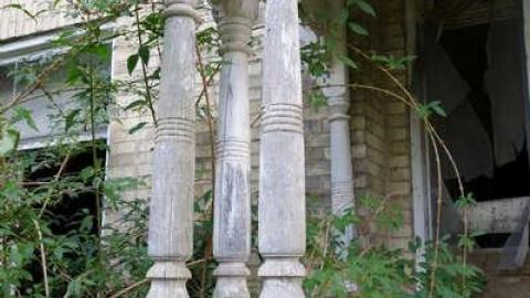 Sept '14 - DSC03065.jpg