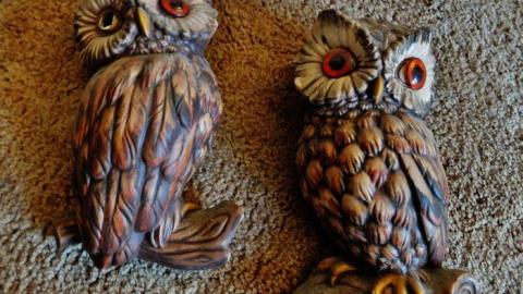 July2014 - DSCF7406.jpg