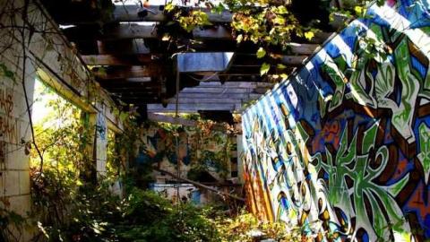 Windsor Dragway - Windsor-Dragway86.jpg