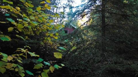 Forgotten Pioneer Homestead - Forgotten-Pioneer-Homestead14.jpg