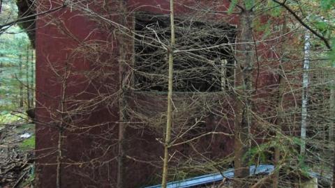 Forgotten Pioneer Homestead - Forgotten-Pioneer-Homestead2.jpg