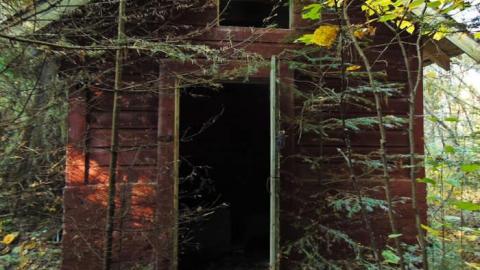 Forgotten Pioneer Homestead photo 5