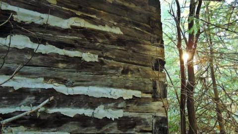 Forgotten Pioneer Homestead - Forgotten-Pioneer-Homestead15.jpg