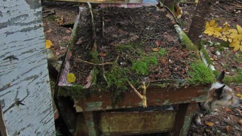 Forgotten Pioneer Homestead - Forgotten-Pioneer-Homestead7.jpg