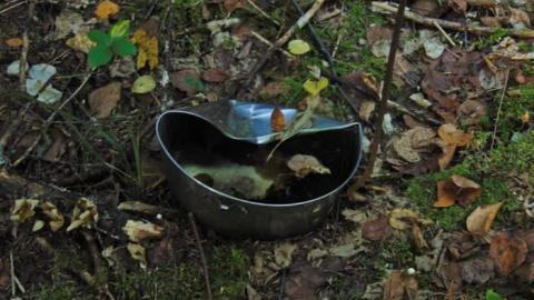 Forgotten Pioneer Homestead - Forgotten-Pioneer-Homestead19.jpg