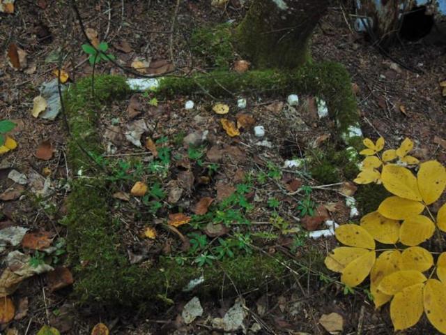 Forgotten Pioneer Homestead - Thunder Bay, Unorganized, Ontario