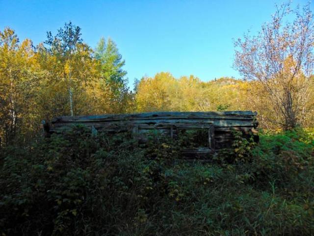 Forgotten Pioneer Homestead photo 4