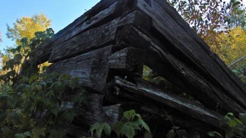 Forgotten Pioneer Homestead photo 3