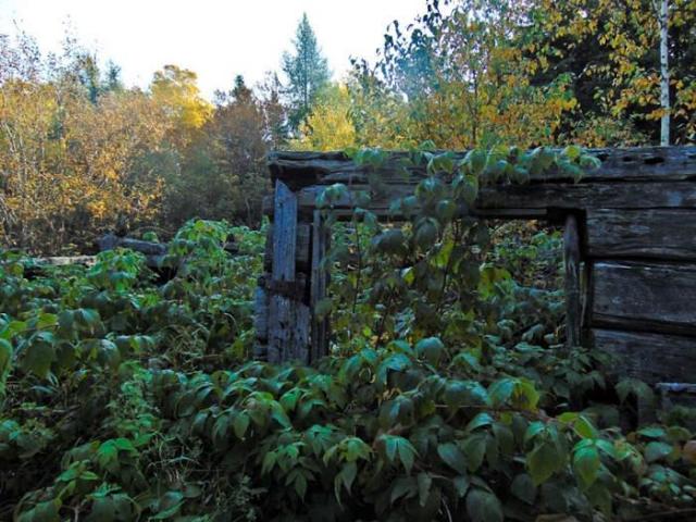 Forgotten Pioneer Homestead photo 2