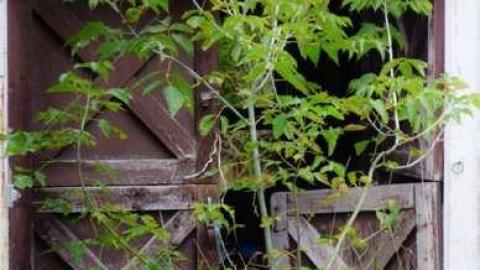 Photo from September 2014. 