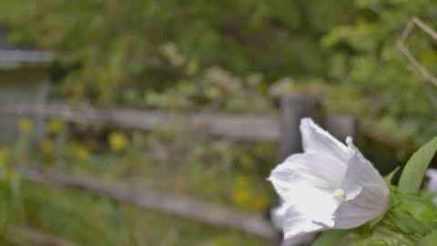 September 2014.  - Across-The-River44.jpg