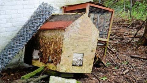 September 2014.  - Fanshawe-Beauty1.jpg