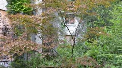 September 2014.  - Fanshawe-Beauty11.jpg