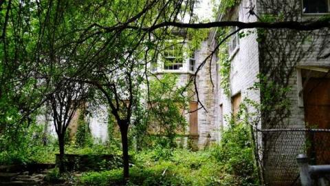 September 2014.  - Fanshawe-Beauty4.jpg