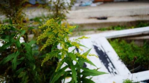 September 2014.  - Across-The-River295.jpg