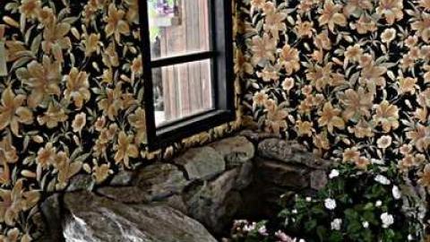 Cat Lady House - 2014 - Abandoned-Cat-Lady-House29.jpg