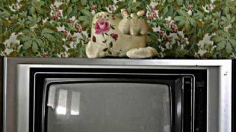 Cat Lady House - 2014 - Abandoned-Cat-Lady-House10.jpg