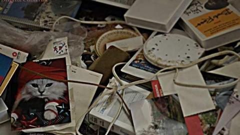 Cat Lady House - 2014 - Abandoned-Cat-Lady-House31.jpg