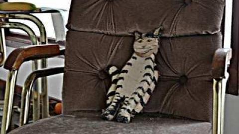 Cat Lady House - 2014 - Abandoned-Cat-Lady-House48.jpg