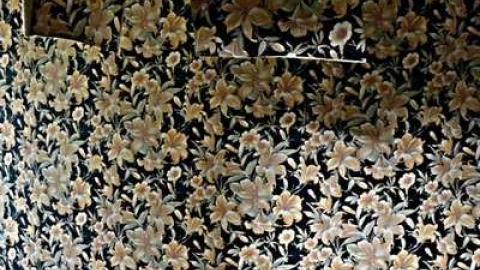 Cat Lady House - 2014 - Abandoned-Cat-Lady-House50.jpg